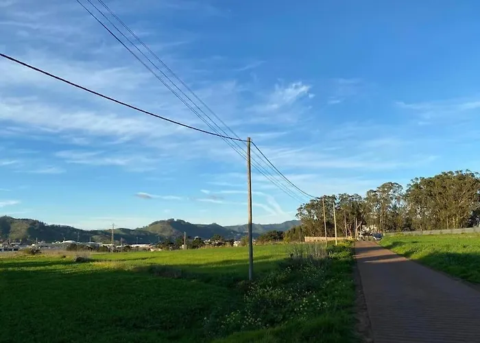 La Macadamia